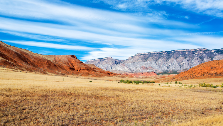 Clergy Planning for Wellness - Cody