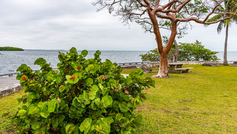 Enriching Your Retirement - Biscayne Park